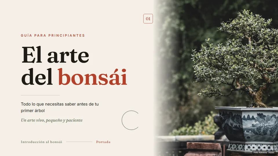 Bonsái · El arte de cultivar el tiempo